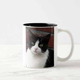 Taza Bicolor gato blanco y negro