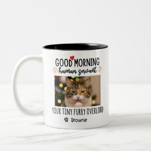 Taza Bicolor Gato Bueno Mañana Humano Sirviente Personalizado D