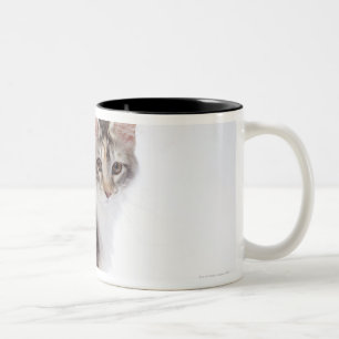 Taza Bicolor Gato de Coon de Maine