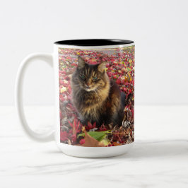 Taza Bicolor Gato de Maine Coon Kitty