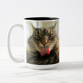 Taza Bicolor Gato de Maine Coon Kitty