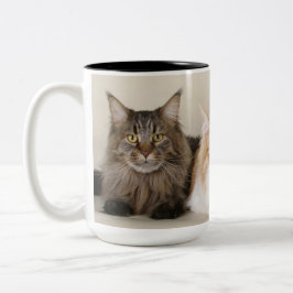 Taza Bicolor Gato de Maine Coon Kitty