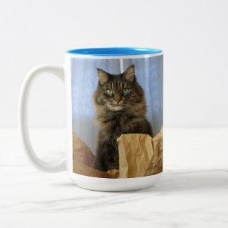 Taza Bicolor Gato de Maine Coon Kitty