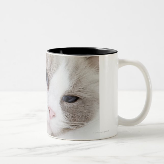 Taza Bicolor Gato de Ragdoll (Derecha)