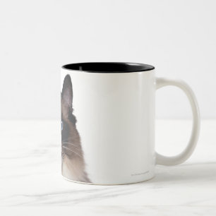 Taza Bicolor Gato de Ragdoll