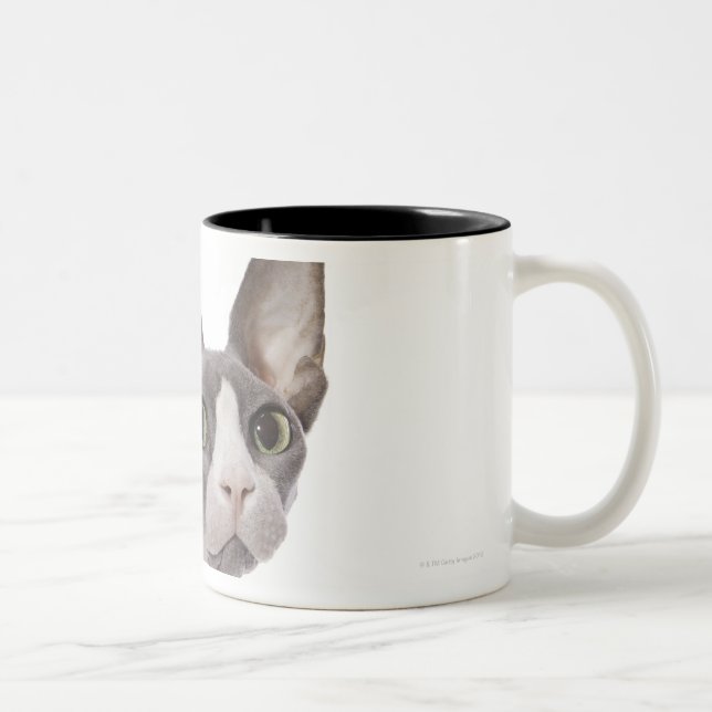 Taza Bicolor Gato de Sphynx con la expresión sorprendida (Derecha)