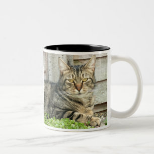 Taza Bicolor Gato de Tabby