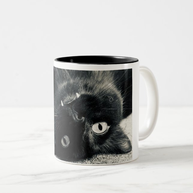 Taza Bicolor Gato de vampiro (Anverso derecho)