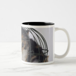 Taza Bicolor Gato en jaula