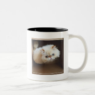 Taza Bicolor Gato en una caja