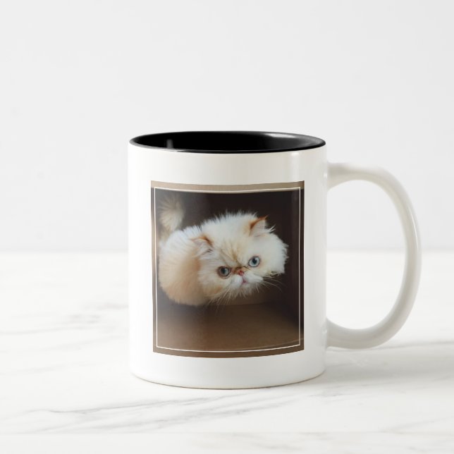 Taza Bicolor Gato en una caja (Derecha)