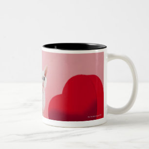 Taza Bicolor gato Impar-observado