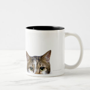 Taza Bicolor Gato japonés y gato de la Isla de Man en el fondo