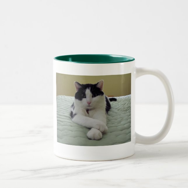 Taza Bicolor Gato - la vida es buena (Derecha)