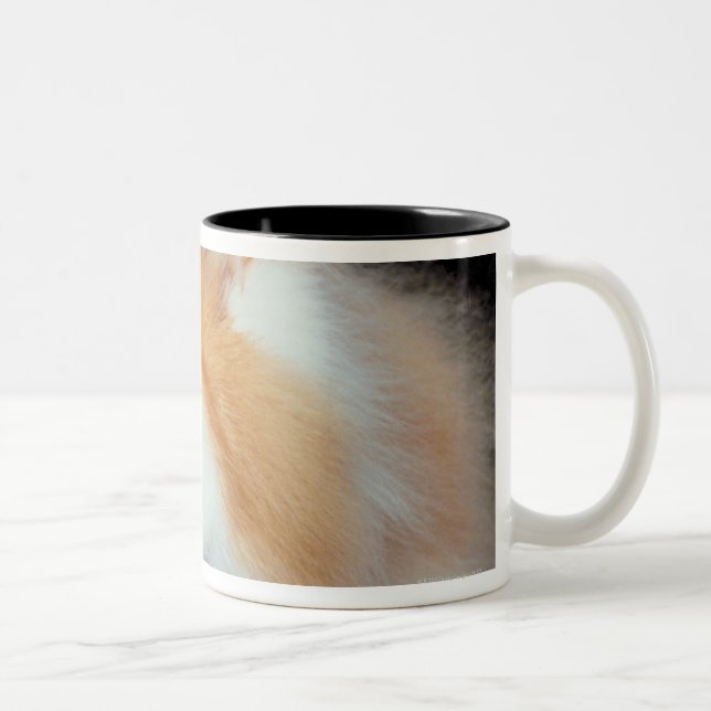 Taza Bicolor Gato observado y lindo del naranja (Derecha)