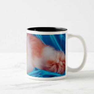 Taza Bicolor Gato persa