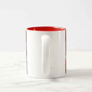 Taza Bicolor Gato persa