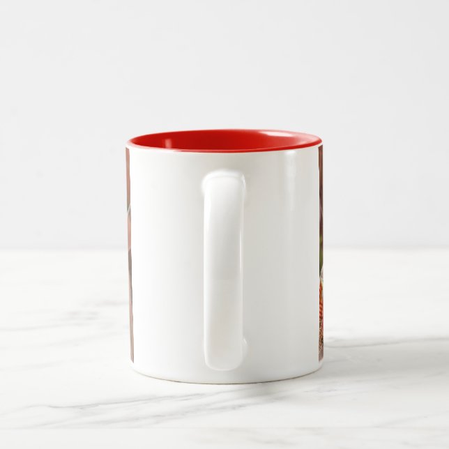 Taza Bicolor Gato persa (Mango)