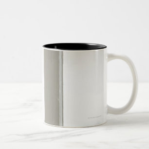 Taza Bicolor Gato por la ventana