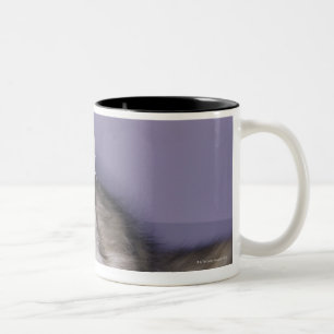 Taza Bicolor Gato que camina en el tacón alto