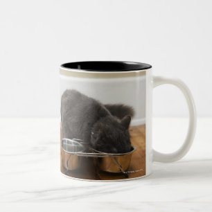 Taza Bicolor Gato que come del cuenco