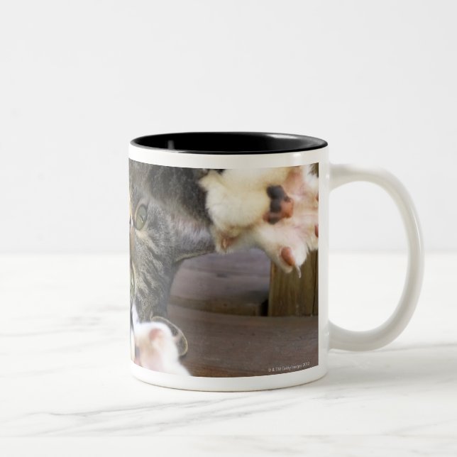 Taza Bicolor Gato que estira, dentro (Derecha)