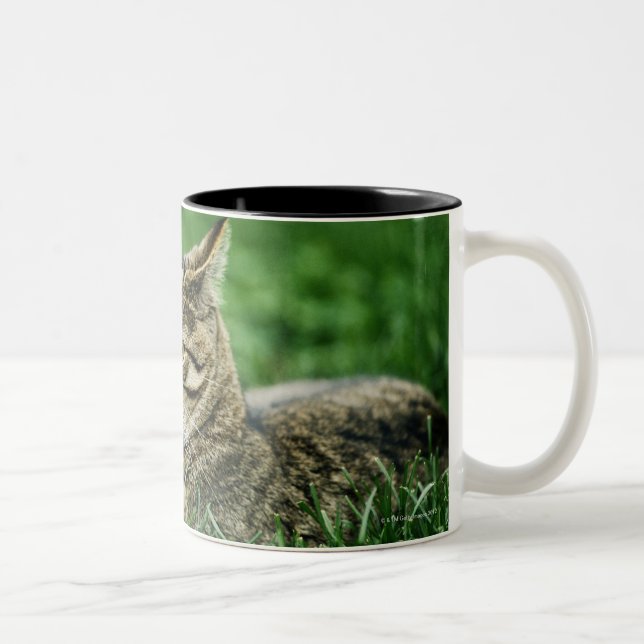 Taza Bicolor Gato que miente en hierba (Derecha)