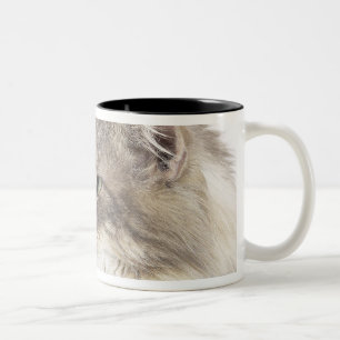Taza Bicolor Gato que se acuesta
