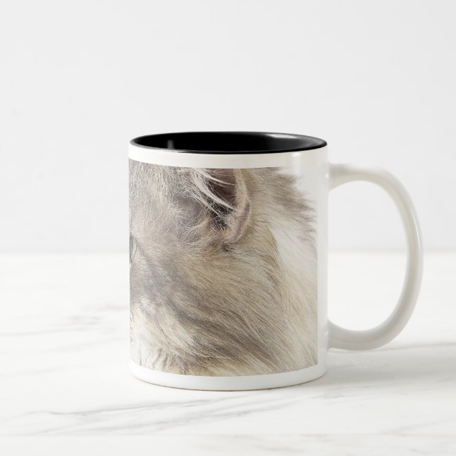 Taza Bicolor Gato que se acuesta (Derecha)