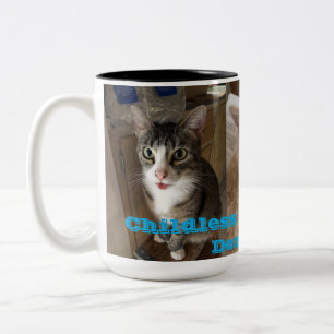 Taza Bicolor Gato sin hijos para la democracia