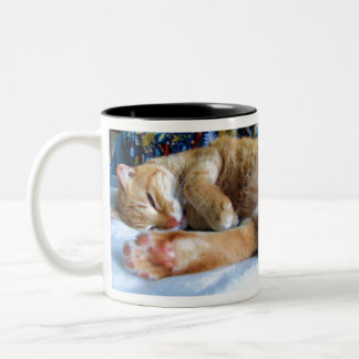 Taza Bicolor Gato soñoliento perezoso del jengibre