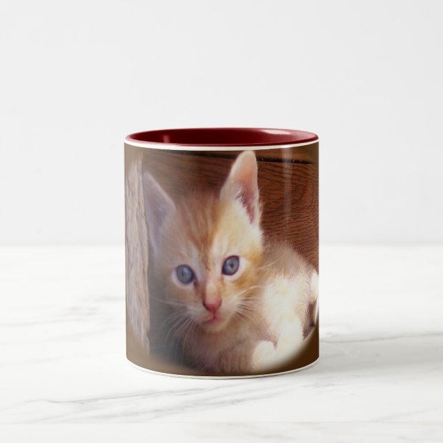Taza Bicolor Gatos (Centro)