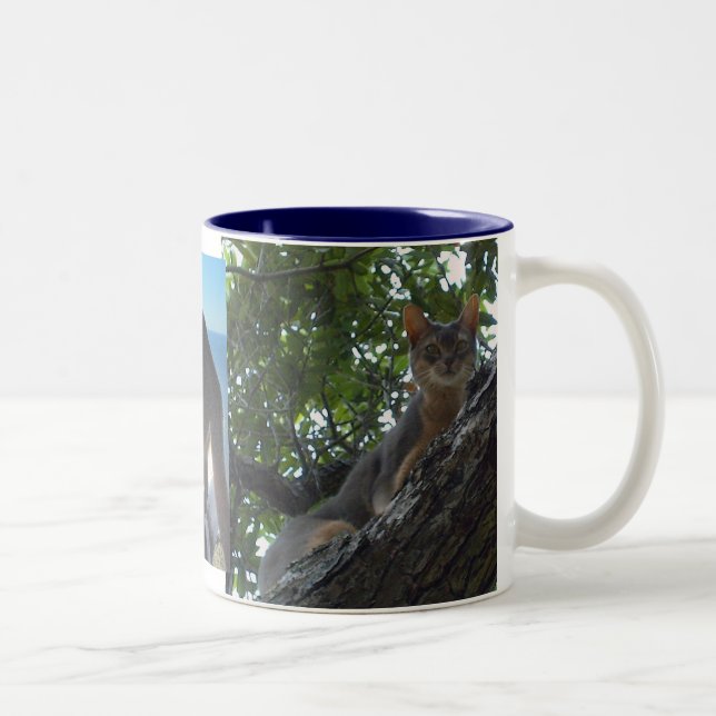 Taza Bicolor Gatos abisinos (Derecha)