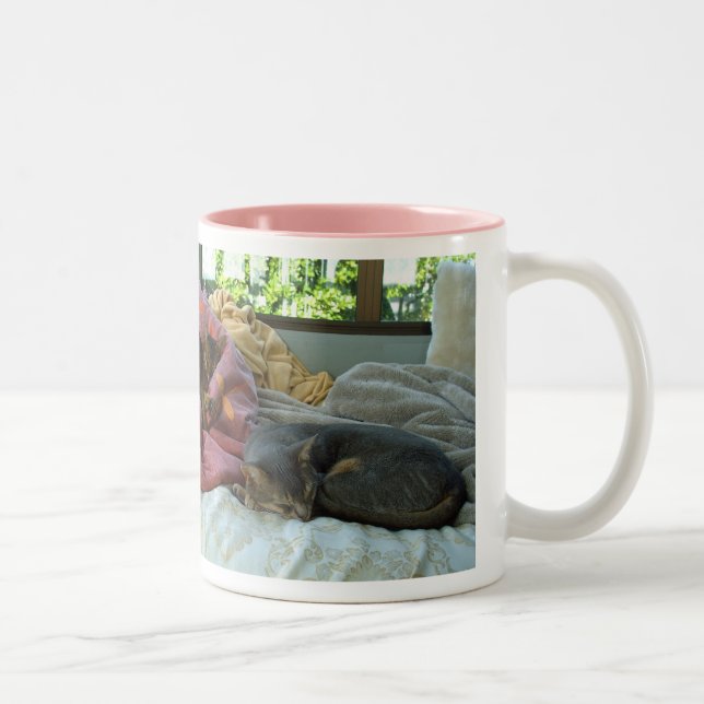Taza Bicolor Gatos abisinos (Derecha)