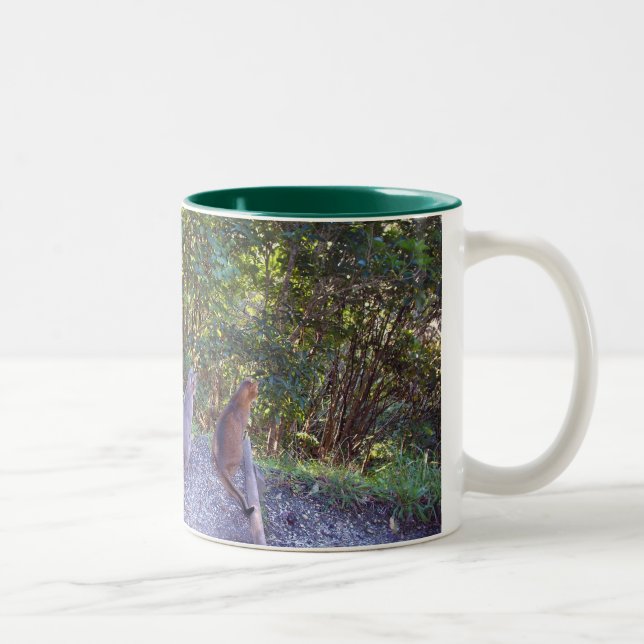 Taza Bicolor Gatos abisinos (Derecha)