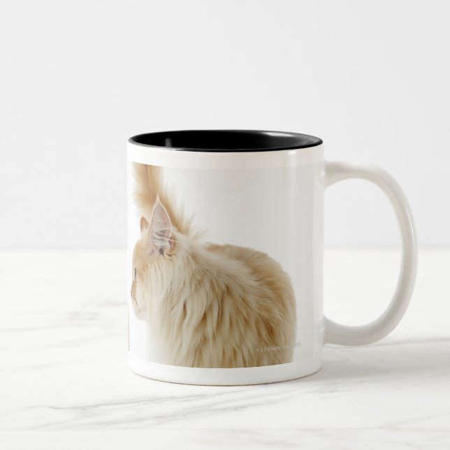 Taza Bicolor Gatos de Munchkin (Derecha)