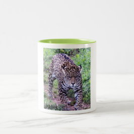 Taza Bicolor Gatos Jaguar Safari Destino Naturaleza