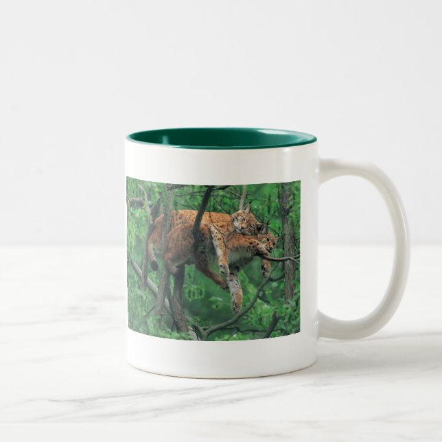 Taza Bicolor Gatos soñolientos (Derecha)