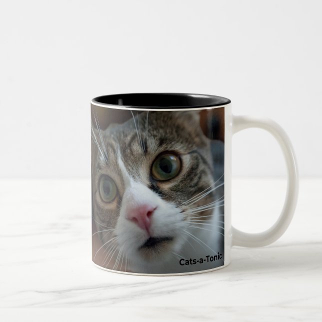 Taza Bicolor Gatos y dinosaurios latas (Derecha)