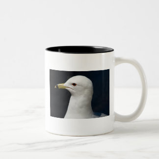 Taza Bicolor Gaviota orgullosa