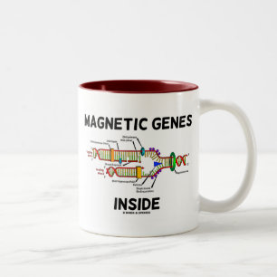 Taza Bicolor Genes magnéticos internos (replicación del ADN)
