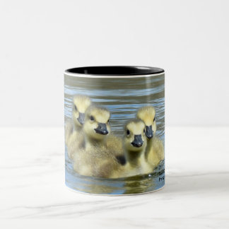 Taza Bicolor Génesis bebé