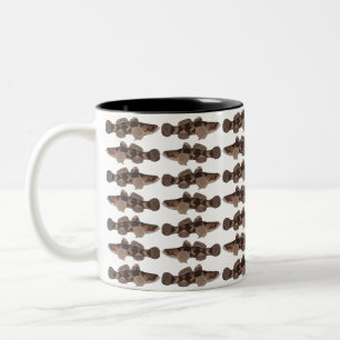 Taza Bicolor Giant Gudgeon