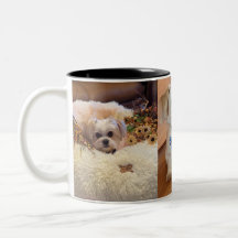 Gilbert Mug
