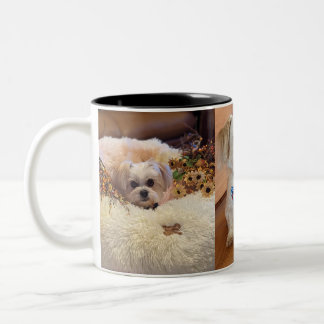 Taza Bicolor Gilbert Mug