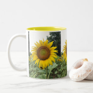 TAZA BICOLOR **GLOBAL INFERIOR***