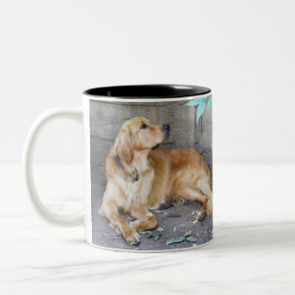 Taza Bicolor Golden retriever