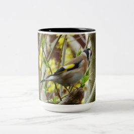 Taza Bicolor Goldfinch tímido