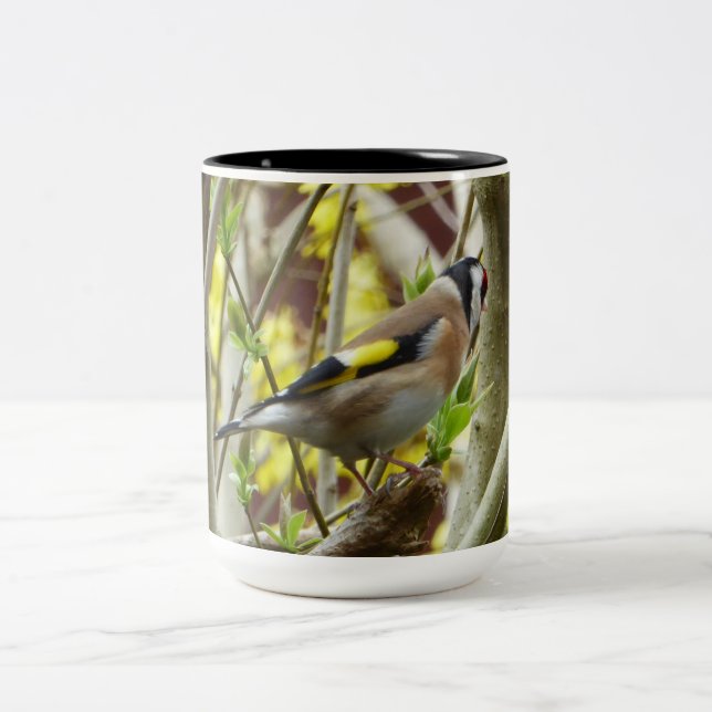 Taza Bicolor Goldfinch tímido (Centro)