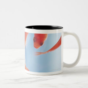 Taza Bicolor Goldfish